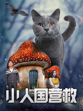 午夜国产福利在线观看